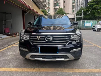 2017 GAC Trumpchi Trumpchi GS8 320T 2WD Luxury Smart Connect (7-seater), фото 2, лот 10416565