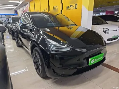 2023 Tesla Model Y Rear-Wheel Drive Edition, фото 4, лот 10369986