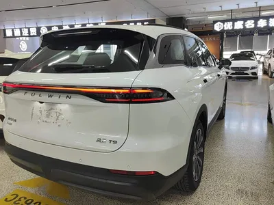 2024 Chery Fengyun T9 120 Long Range Comfort 5-seater NMC, фото 3, лот 10834274