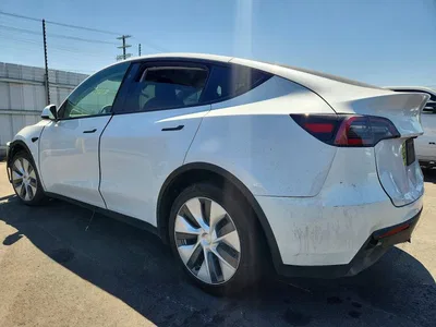 2024 TESLA MODEL Y, фото 2, лот 10855766