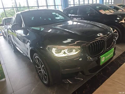 2021 BMW X4 xDrive 25i M Sport Glorious Night Package, фото 4, лот 10476967