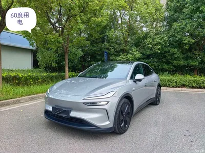 2024 Ledao L60 60kWh AWD Version, фото 1, лот 11138697