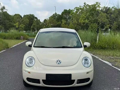 2010 Volkswagen Beetle Model 1.6 AT, фото 2, лот 10422537