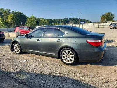2008 LEXUS LS 460, фото 2, лот 10845746