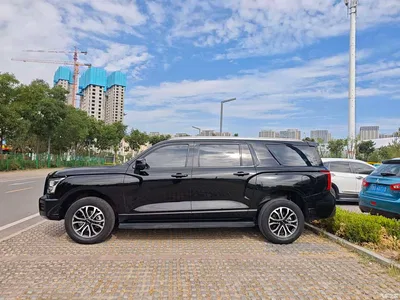 2023 Haval H5 2.0T Automatic AWD Leading Elite Gasoline, фото 4, лот 10282618