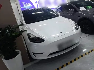 2022 Tesla Model Y Rear-Wheel Drive Version, фото 4, лот 10890284