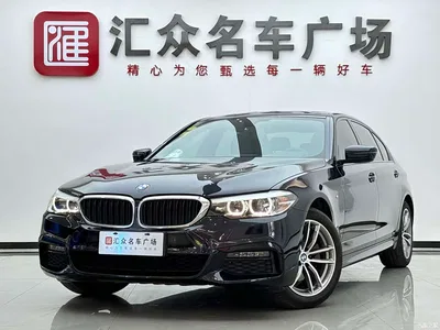 2019 BMW 5 Series 525Li M Sport Package, фото 1, лот 10450411