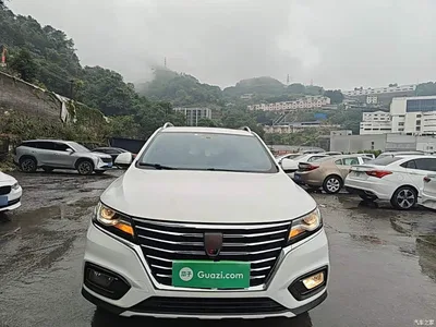 2020 Roewe RX5 20T Automatic 4G Internet Million Edition, фото 3, лот 11193625