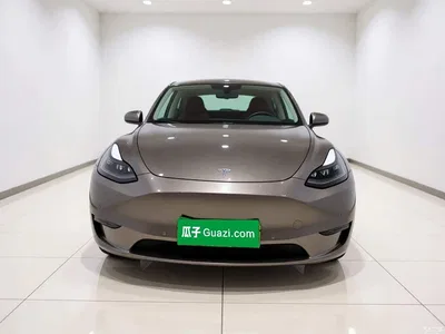 2021 Tesla Model Y Standard Range Rear-Wheel Drive, фото 2, лот 11182727