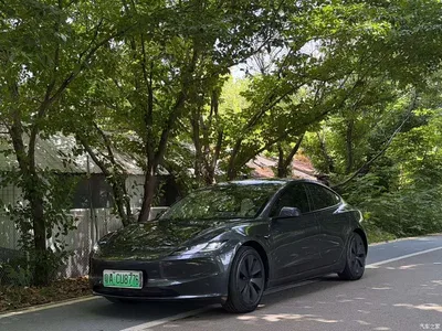 2023 Tesla Model 3 Rear-Wheel Drive, фото 2, лот 10367651
