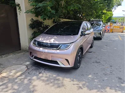 2021 BYD Dolphin Model 405km Fashion Edition, фото 1, лот 11097338
