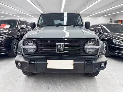 2024 Tank 300 Model 2.0T Challenger, фото 2, лот 10344142