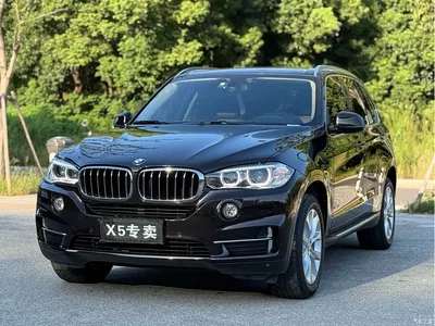2018 BMW X5 (Import) xDrive28i, фото 1, лот 10577699