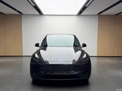 2022 Tesla Model Y Rear-Wheel Drive Version, фото 2, лот 11179242