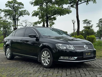 2015 Volkswagen Magotan 1.8TSI Luxury, фото 3, лот 10435606