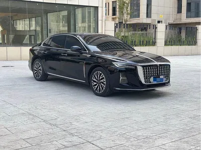 2025 Hongqi H5 2.0T Automatic Flag Celebration 500,000 Units Anniversary Edition, фото 3, лот 10288623