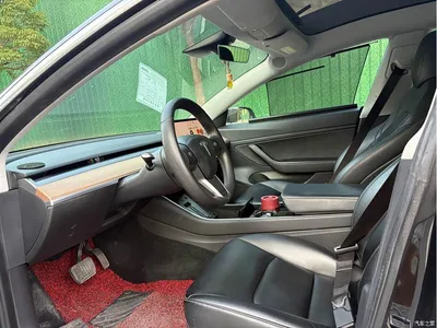 2020 Tesla Model 3 Standard Range Rear-Wheel Drive Upgrade, фото 4, лот 10350829