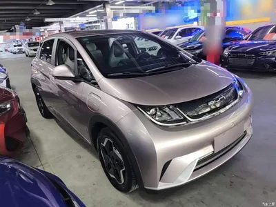 2021 BYD Dolphin 405km Freedom Edition, фото 4, лот 10264354
