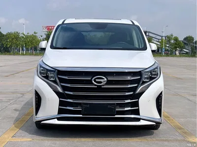 2021 GAC Trumpchi Trumpchi M8 Leading Show Series 390T Prestige Edition, фото 2, лот 10416292