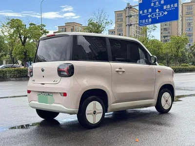 2024 Zhido Rainbow Color Cloud Edition, фото 4, лот 10457162