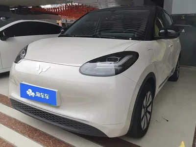 2024 Wuling Motors Wuling Bingo 333km Smart Connect Edition, фото 1, лот 10367192