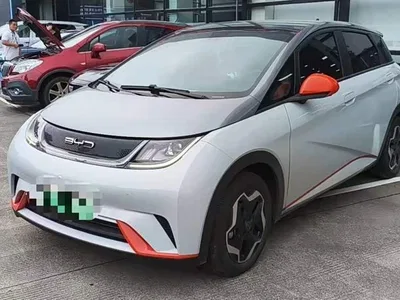 2021 BYD Dolphin Model 405km Fashion Edition, фото 1, лот 11242884