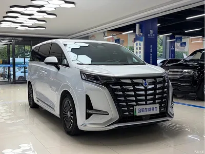 2022 Denza D9 DM-i 970 All-Wheel Drive Honor Edition, фото 3, лот 10345796