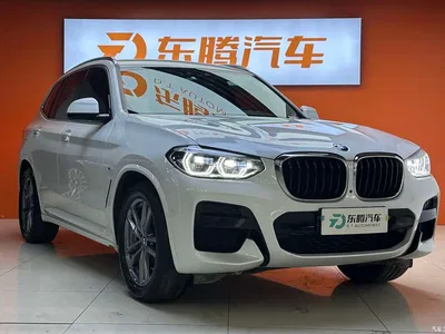 2020 BMW X3 xDrive28i M Sport Package, фото 3, лот 10238979