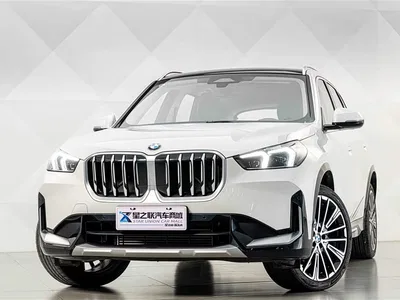 2024 BMW X1 xDrive25Li X Design Package, фото 3, лот 10411524