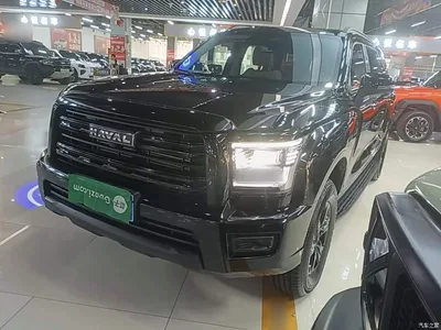 2025 Haval H5 2.0T Auto 4WD Navigation Edition (Diesel), фото 1, лот 11224344