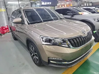 2018 Škoda Kamiq 1.5L Automatic Comfort Version China VI, фото 4, лот 11203854
