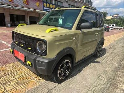 2025 Geely Galaxy Panda Model Year 210km Panda Knight, фото 1, лот 10432266
