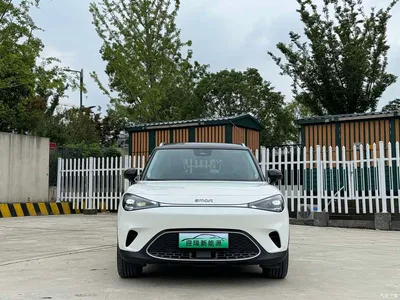 2022 smart Elf #1 Premium Edition, фото 3, лот 10343068