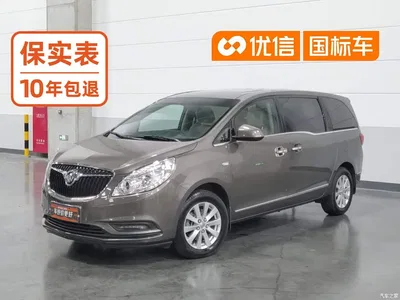2017 Buick GL8 25S Premium Model China V, фото 1, лот 10257586