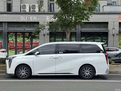 2023 GAC Trumpchi Trumpchi E9 E9 Grandmaster, фото 3, лот 10416510
