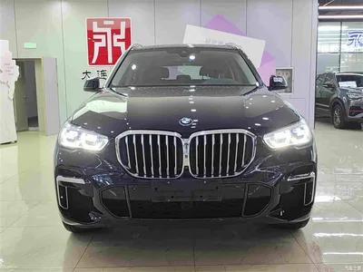 2022 BMW X5 Facelift xDrive 30Li Premium M Sport Package, фото 2, лот 10462875