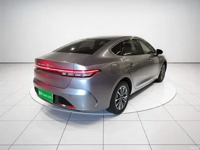 2024 BYD Destroyer 05 Glory Edition DM-i 55KM Luxury, фото 4, лот 10252007