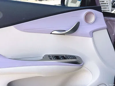 2021 BYD Dolphin Model 405km Fashion Edition, фото 4, лот 10248412