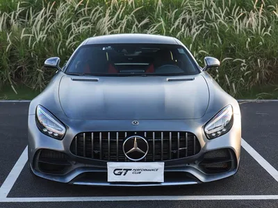 2019 Mercedes-Benz AMG GT, фото 2, лот 11579398