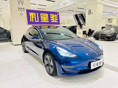 2020 Tesla Model 3 Facelift Long Range Rear-Wheel Drive, фото 2, лот 11006683