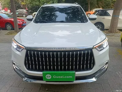 2018 Leopaard Mattu 1.6T GDI Manual Comfort, фото 3, лот 11643818