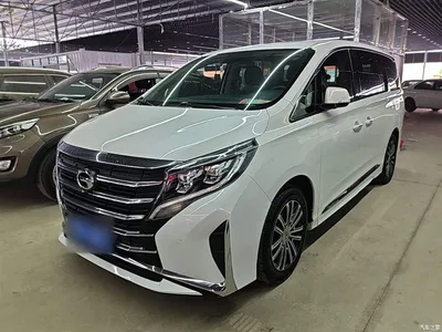 2021 GAC Trumpchi Trumpchi M8 Leading Show Series 390T Prestige Edition, фото 1, лот 10423938