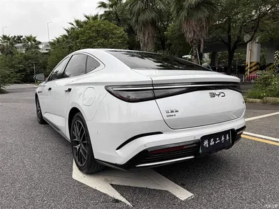 2023 BYD Seal DM-i 1.5T 121km Flagship, фото 4, лот 11252972