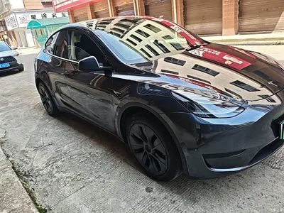 2024 Tesla Model Y Rear-Wheel Drive Version, фото 4, лот 10374255