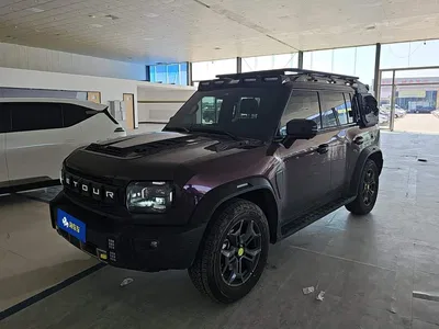 2024 Jetour Traveler 2.0T 4WD Cross PRO+ Entertainment Edition, фото 1, лот 10391374