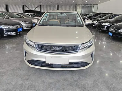 2020 Geely Emgrand GL 1.4T CVT Luxury, фото 2, лот 10615715