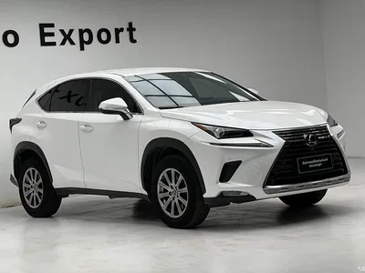 2018 Lexus NX Model 200 FWD Fengxing Edition China V, фото 3, лот 10667961