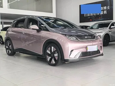 2021 BYD Dolphin 401km Knight Edition, фото 3, лот 10256782