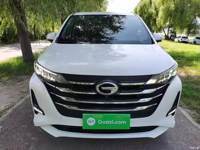 2019 GAC Trumpchi Trumpchi M6 270T DCT Prestige Edition (7-seater) (China VI), фото 3, лот 10421865
