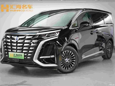 2024 Denza D9 DM-i 980 AWD Premium, фото 1, лот 11249341